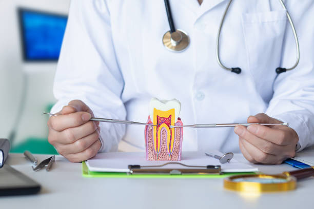 Best Emergency Dental Care for Abscessed Tooth in Rotonda, FL